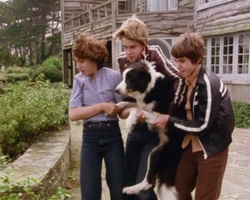 Standbild: George, Julian und Dick tragen Timmy in Sichherheit